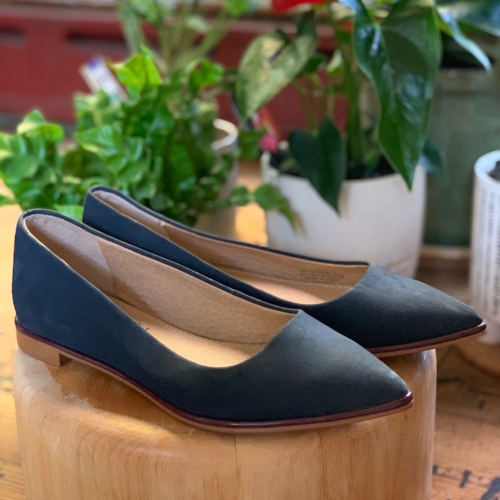 Suede Splendid Pointed Flats